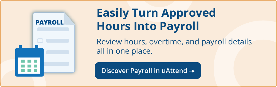 Graphic _Pay Code Headers Page.png