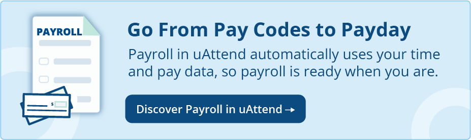 Graphic _Pay Period Report Page.png